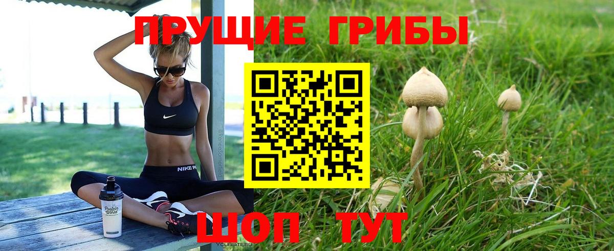 Галлюциногенные грибы MAGIC MUSHROOMS  Вход с VPN  Звенигород 