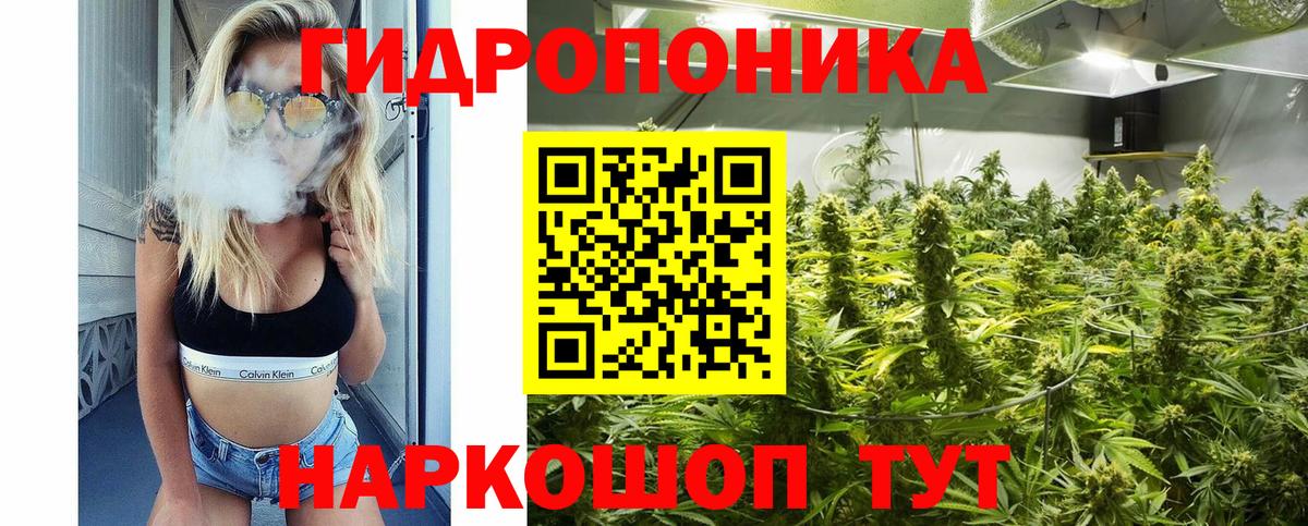 Шишки марихуана Ganja Звенигород
